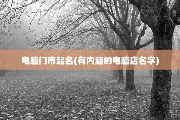 电脑门市起名(有内涵的电脑店名字)