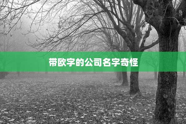 带欧字的公司名字奇怪
