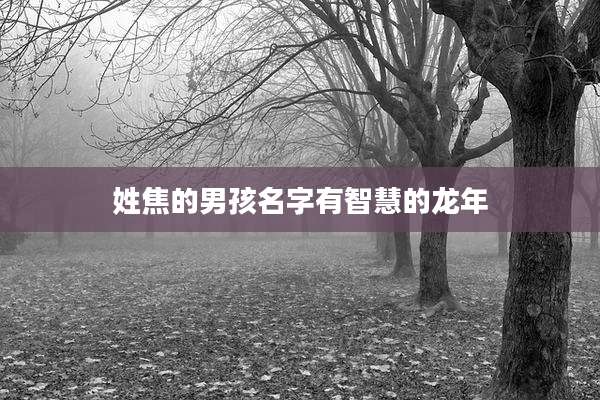 姓焦的男孩名字有智慧的龙年