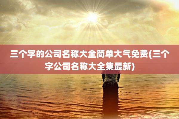 三个字的公司名称大全简单大气免费(三个字公司名称大全集最新)