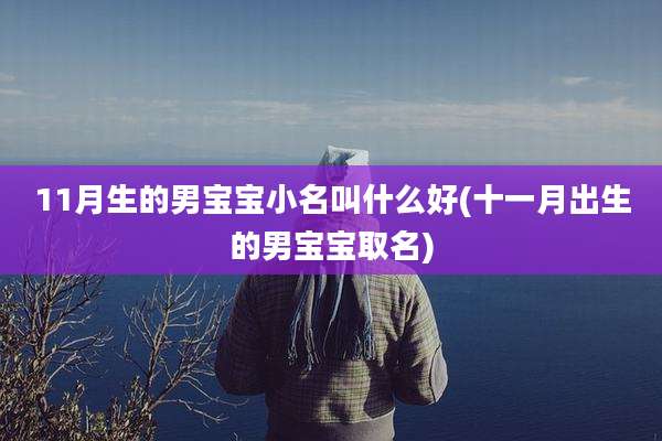 11月生的男宝宝小名叫什么好(十一月出生的男宝宝取名)