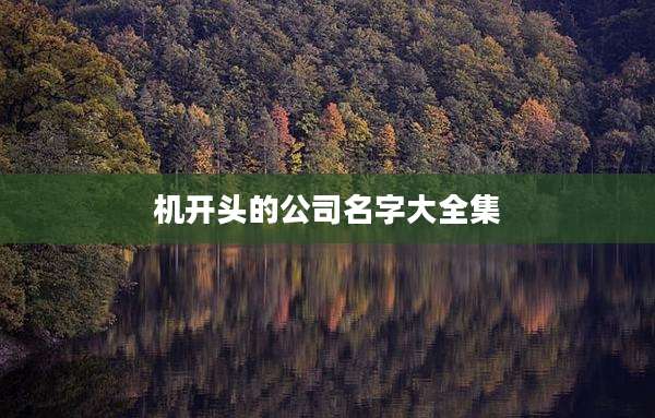 机开头的公司名字大全集