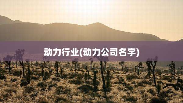 动力行业(动力公司名字)