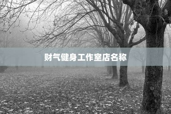 财气健身工作室店名称