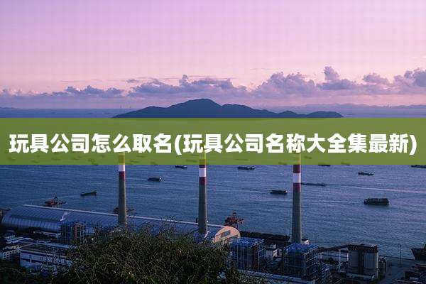 玩具公司怎么取名(玩具公司名称大全集最新)