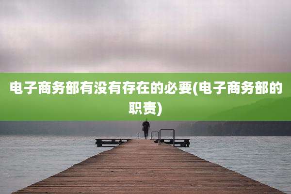 电子商务部有没有存在的必要(电子商务部的职责)