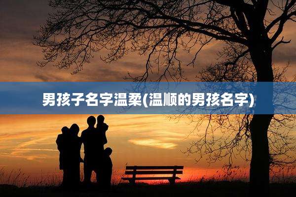 男孩子名字温柔(温顺的男孩名字)