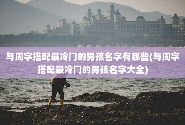 与周字搭配最冷门的男孩名字有哪些(与周字搭配最冷门的男孩名字大全)
