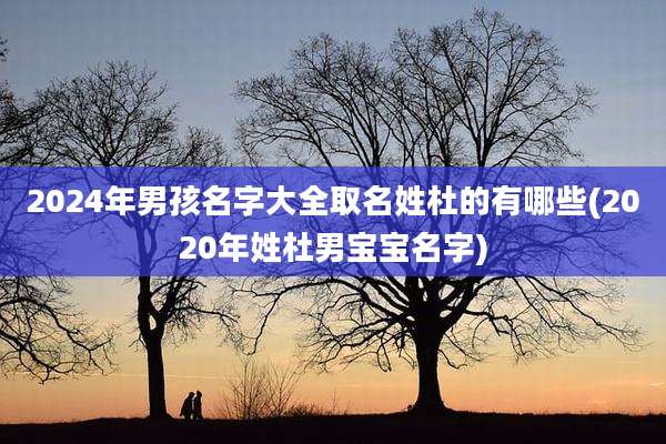 2024年男孩名字大全取名姓杜的有哪些(2020年姓杜男宝宝名字)