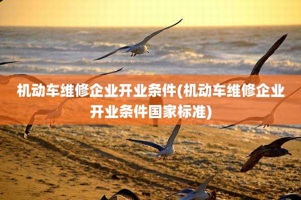 机动车维修企业开业条件(机动车维修企业开业条件国家标准)