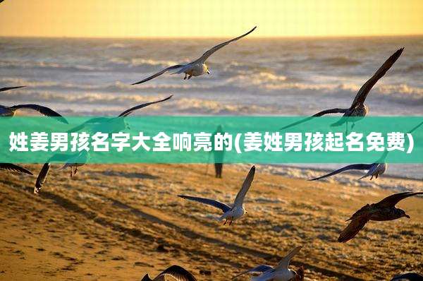 姓姜男孩名字大全响亮的(姜姓男孩起名免费)