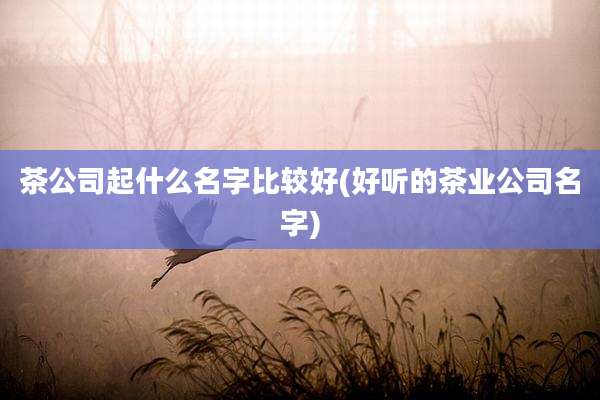 茶公司起什么名字比较好(好听的茶业公司名字)