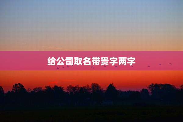 给公司取名带贵字两字
