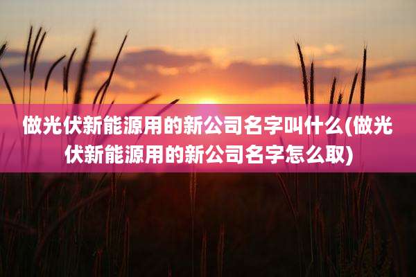 做光伏新能源用的新公司名字叫什么(做光伏新能源用的新公司名字怎么取)