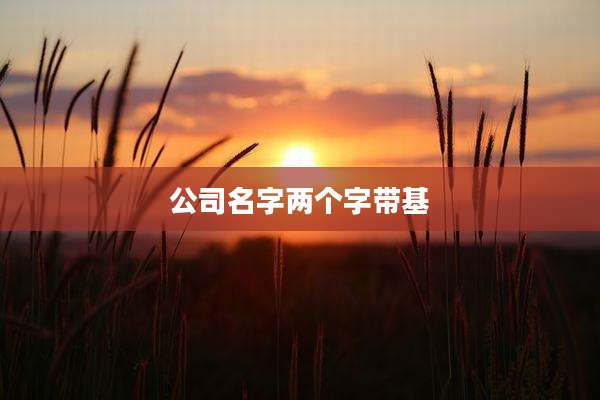 公司名字两个字带基