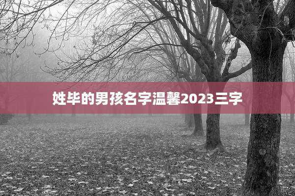 姓毕的男孩名字温馨2023三字
