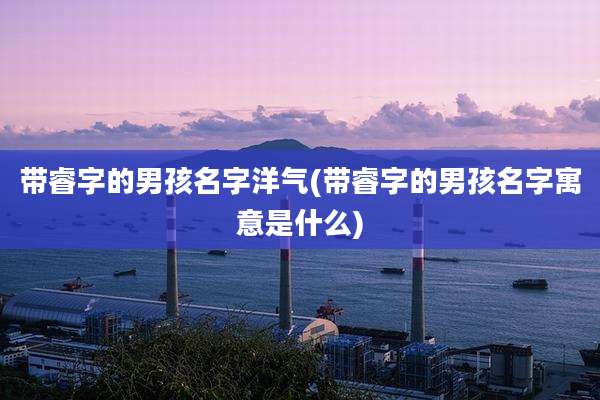 带睿字的男孩名字洋气(带睿字的男孩名字寓意是什么)