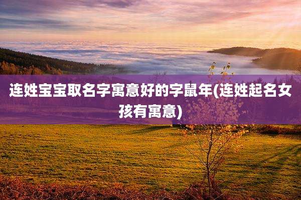 连姓宝宝取名字寓意好的字鼠年(连姓起名女孩有寓意)