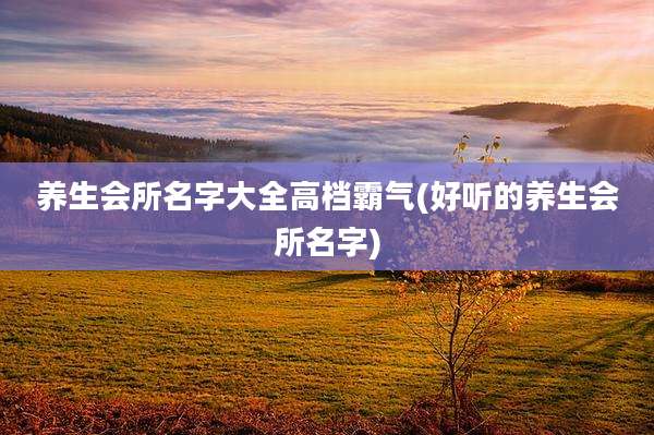 养生会所名字大全高档霸气(好听的养生会所名字)