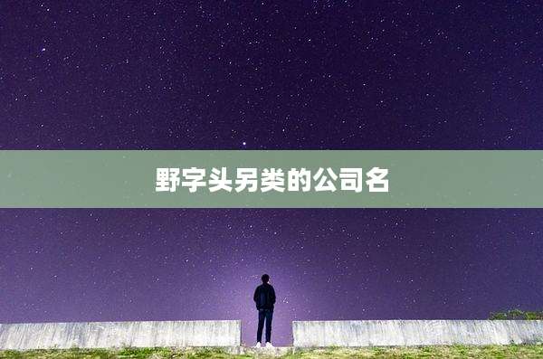 野字头另类的公司名