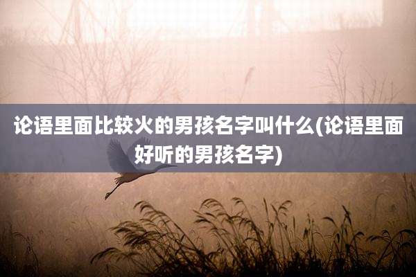 论语里面比较火的男孩名字叫什么(论语里面好听的男孩名字)