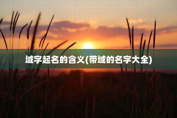 域字起名的含义(带域的名字大全)