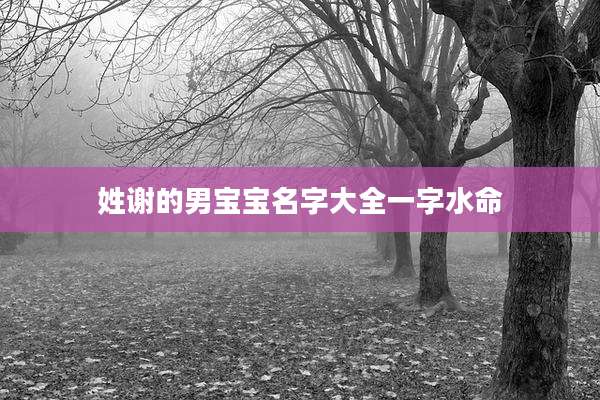 姓谢的男宝宝名字大全一字水命