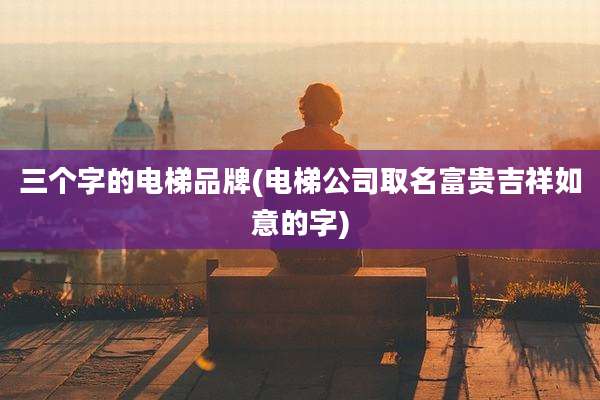 三个字的电梯品牌(电梯公司取名富贵吉祥如意的字)