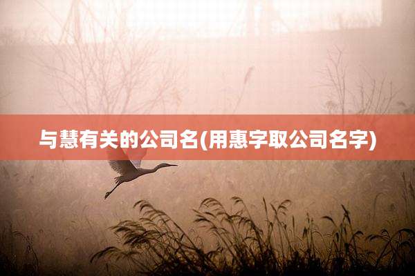 与慧有关的公司名(用惠字取公司名字)