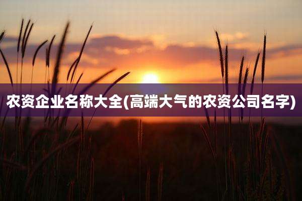 农资企业名称大全(高端大气的农资公司名字)