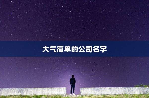 大气简单的公司名字