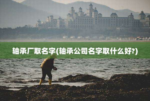 轴承厂取名字(轴承公司名字取什么好?)