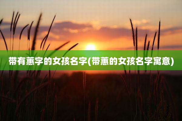 带有蕙字的女孩名字(带蕙的女孩名字寓意)
