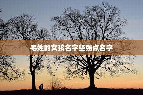毛姓的女孩名字坚强点名字
