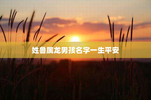 姓鲁属龙男孩名字一生平安