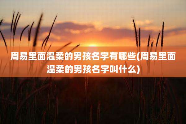 周易里面温柔的男孩名字有哪些(周易里面温柔的男孩名字叫什么)