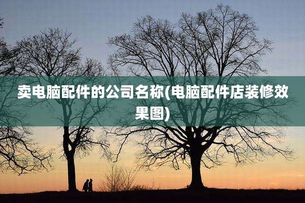 卖电脑配件的公司名称(电脑配件店装修效果图)
