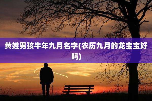 黄姓男孩牛年九月名字(农历九月的龙宝宝好吗)