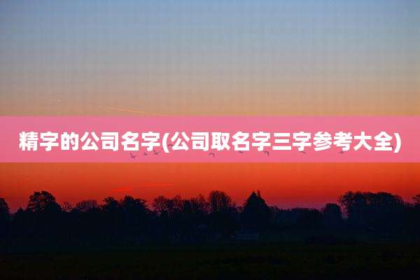 精字的公司名字(公司取名字三字参考大全)
