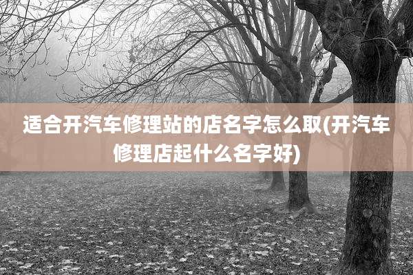 适合开汽车修理站的店名字怎么取(开汽车修理店起什么名字好)