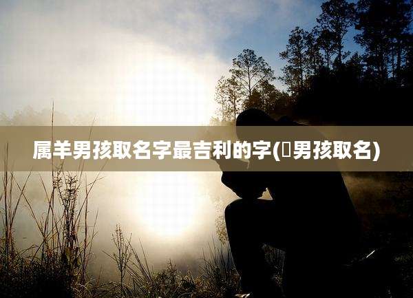 属羊男孩取名字最吉利的字(晞男孩取名)