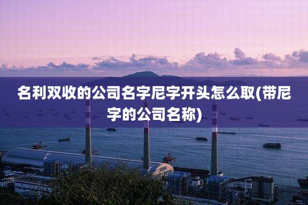 名利双收的公司名字尼字开头怎么取(带尼字的公司名称)