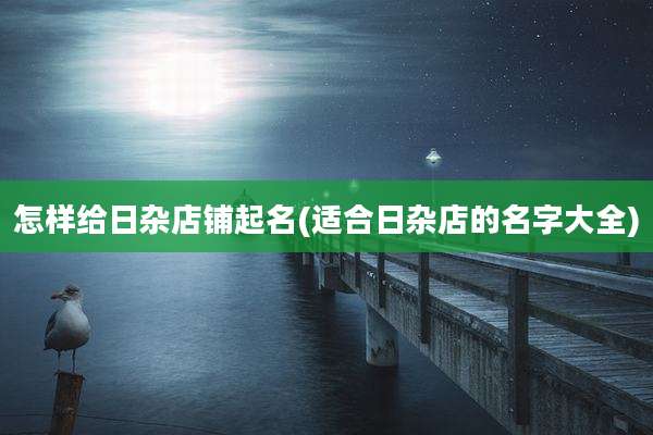 怎样给日杂店铺起名(适合日杂店的名字大全)