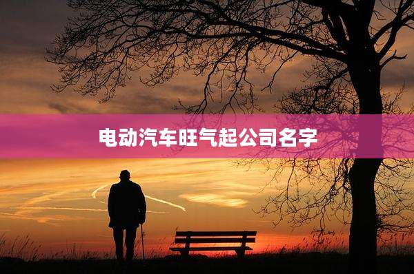 电动汽车旺气起公司名字