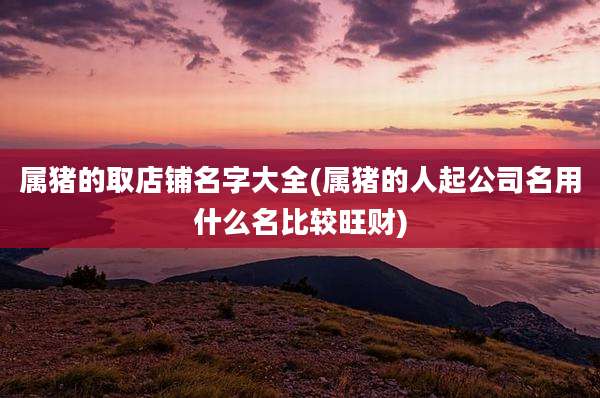 属猪的取店铺名字大全(属猪的人起公司名用什么名比较旺财)