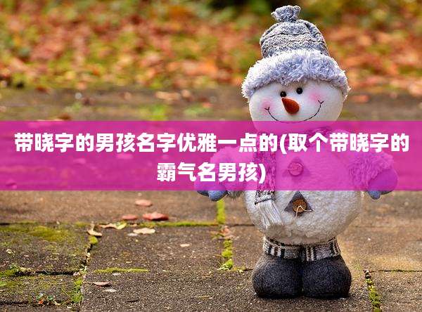 带晓字的男孩名字优雅一点的(取个带晓字的霸气名男孩)