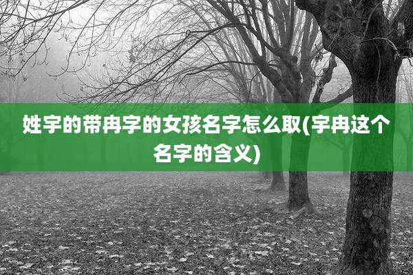 姓宇的带冉字的女孩名字怎么取(宇冉这个名字的含义)