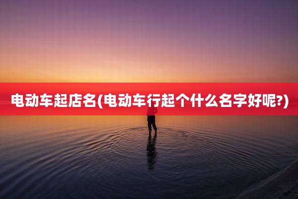 电动车起店名(电动车行起个什么名字好呢?)