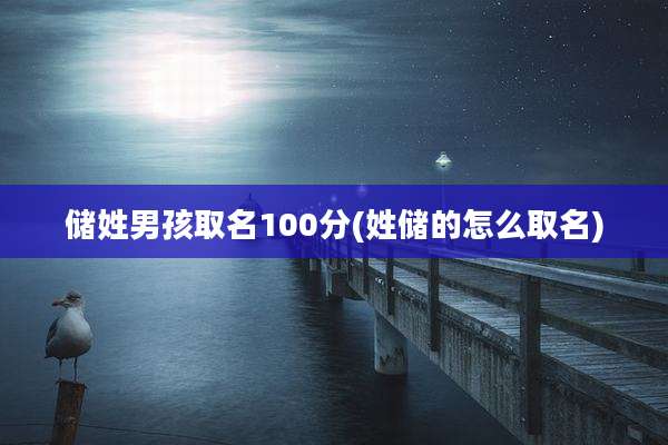 储姓男孩取名100分(姓储的怎么取名)