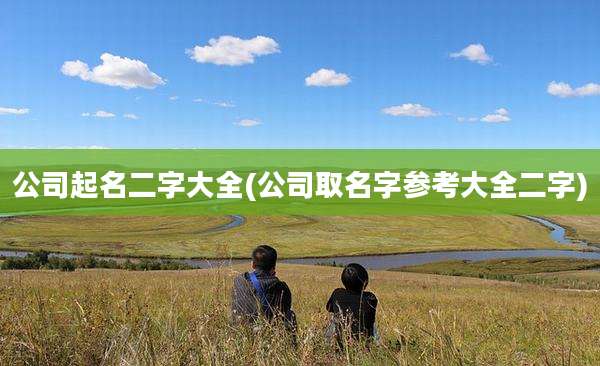 公司起名二字大全(公司取名字参考大全二字)